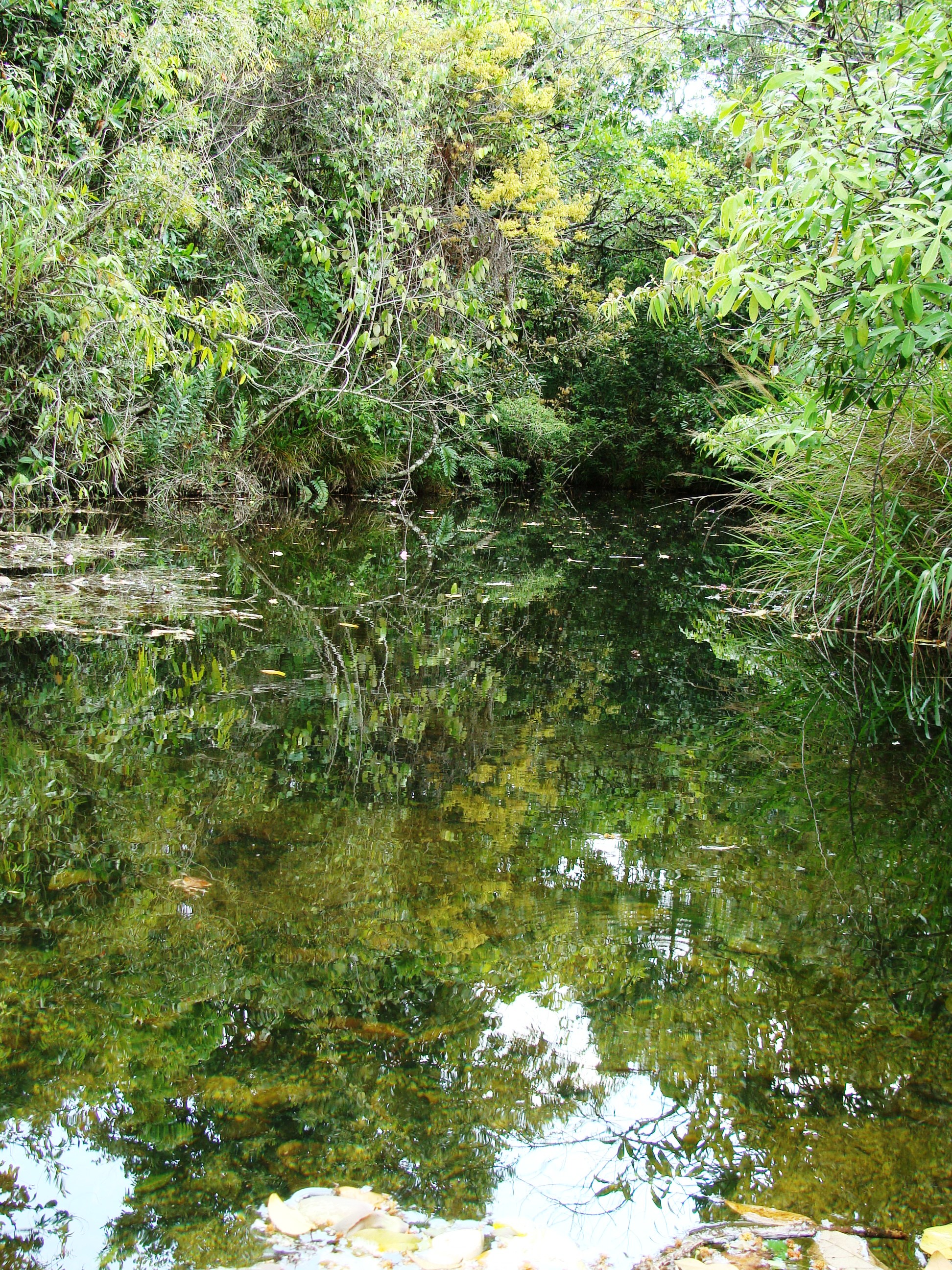 CBH Araguari publica relatório com análise histórica da qualidade da água na bacia