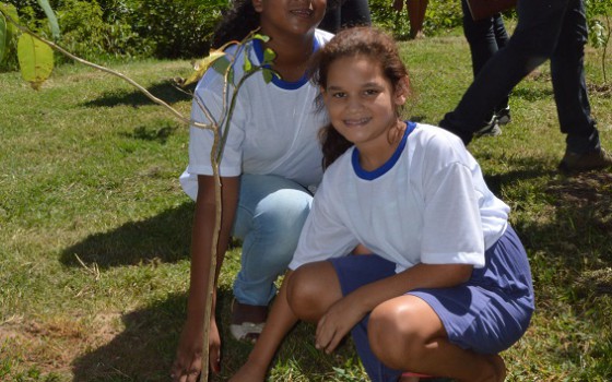 Semarh e CBH Paranaíba realizam o plantio de  mudas no município de Nova Veneza