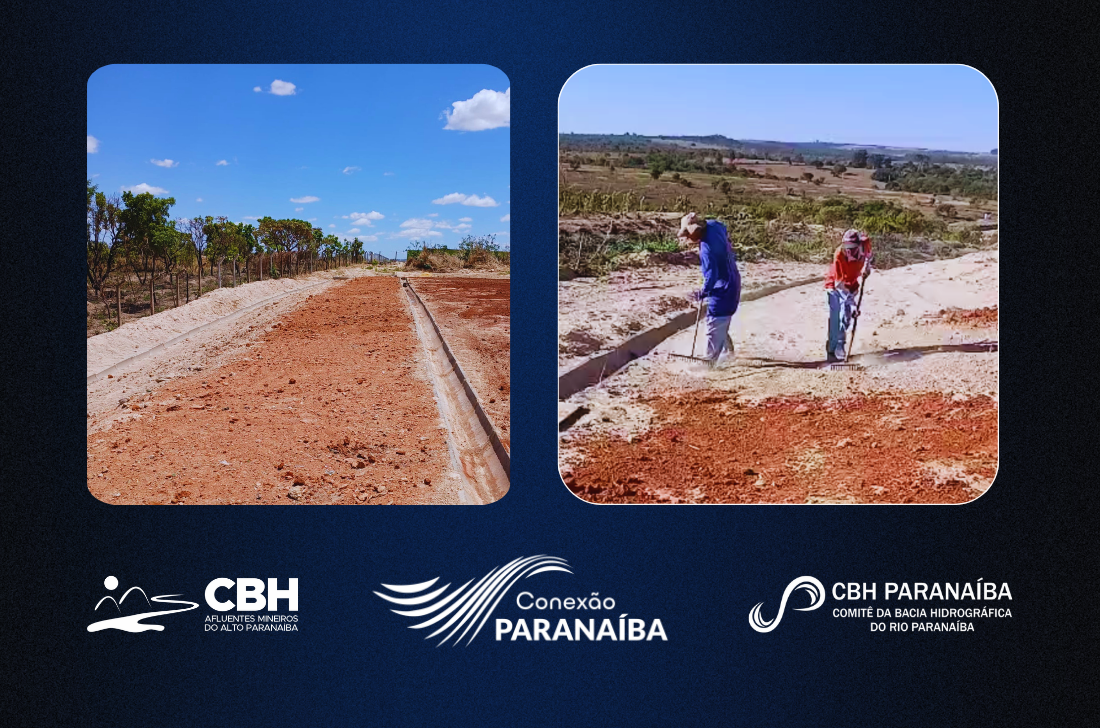 Integração entre comitês [...]