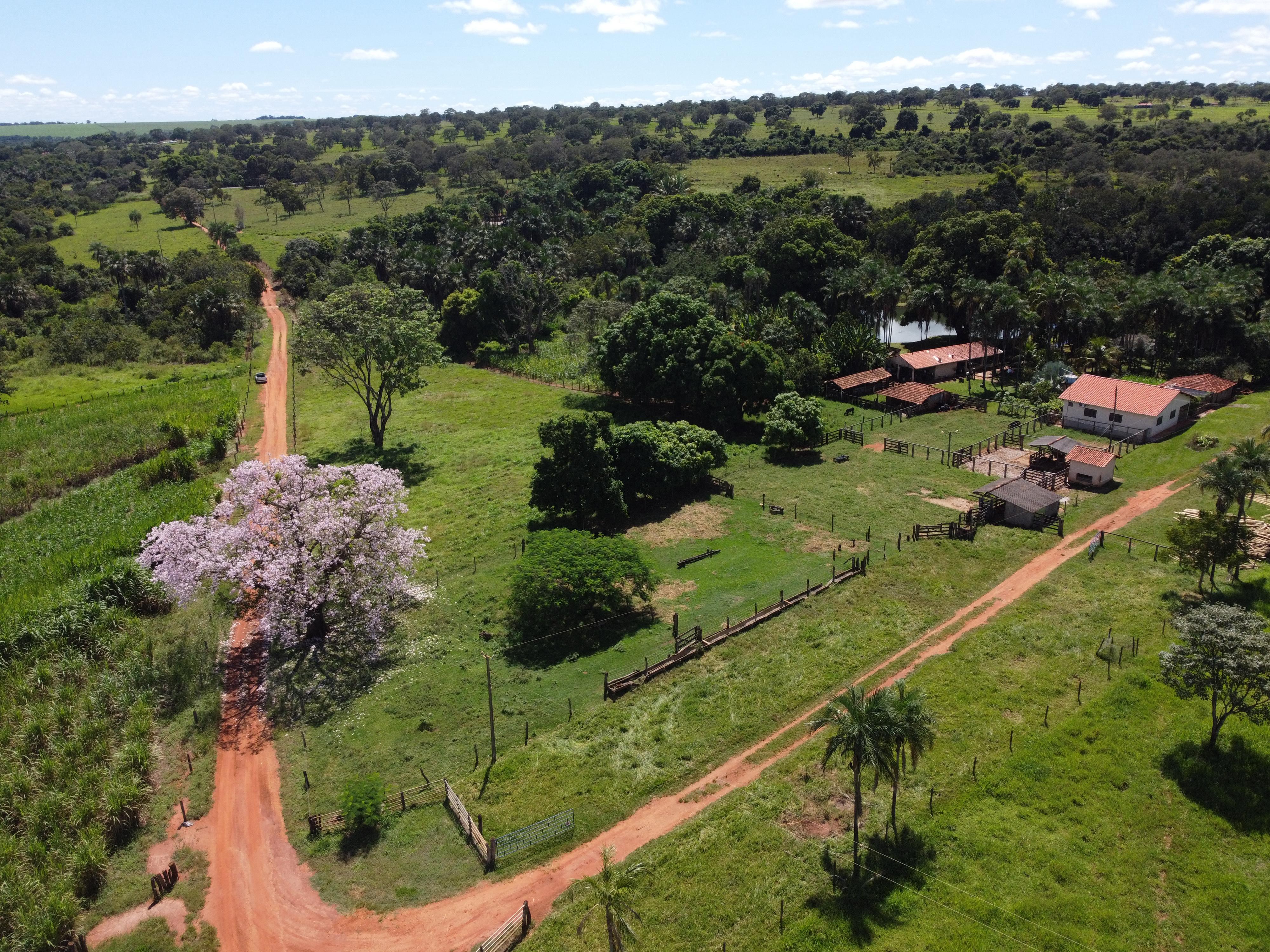 Ações do CBH Paranaíba beneficiam microbacia do Ribeirão da Invernada