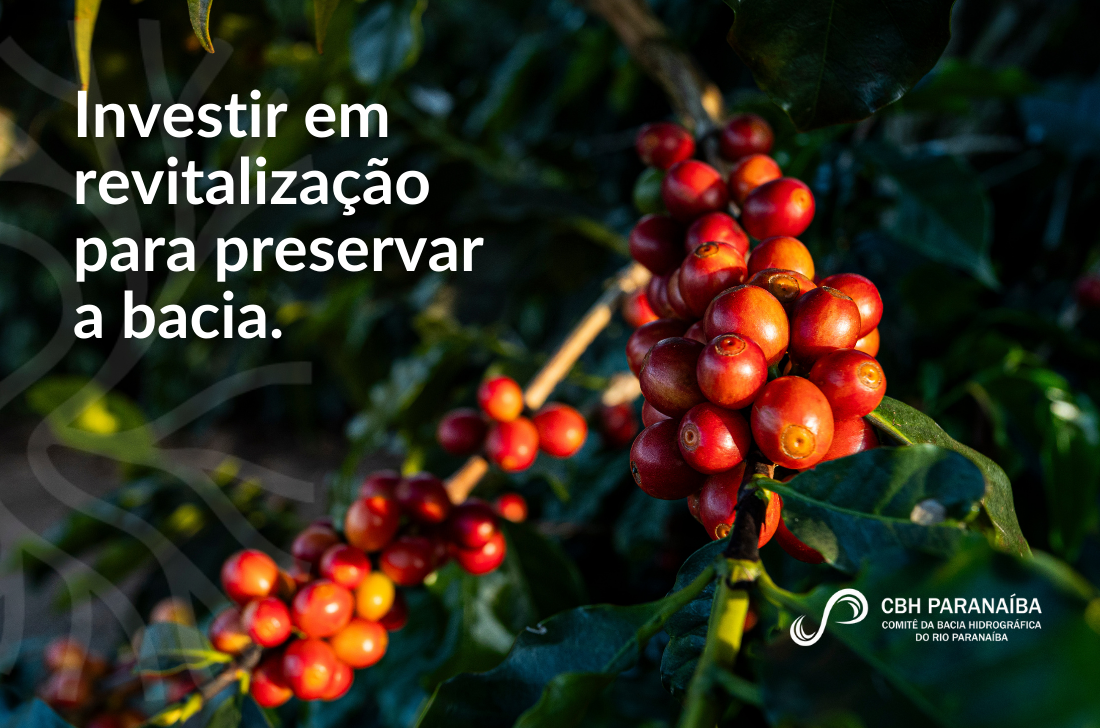 Comitê do Rio Paranaíba consolida parcerias e inicia nova etapa do Programa Café Produtor de Águas em Monte Carmelo (MG)