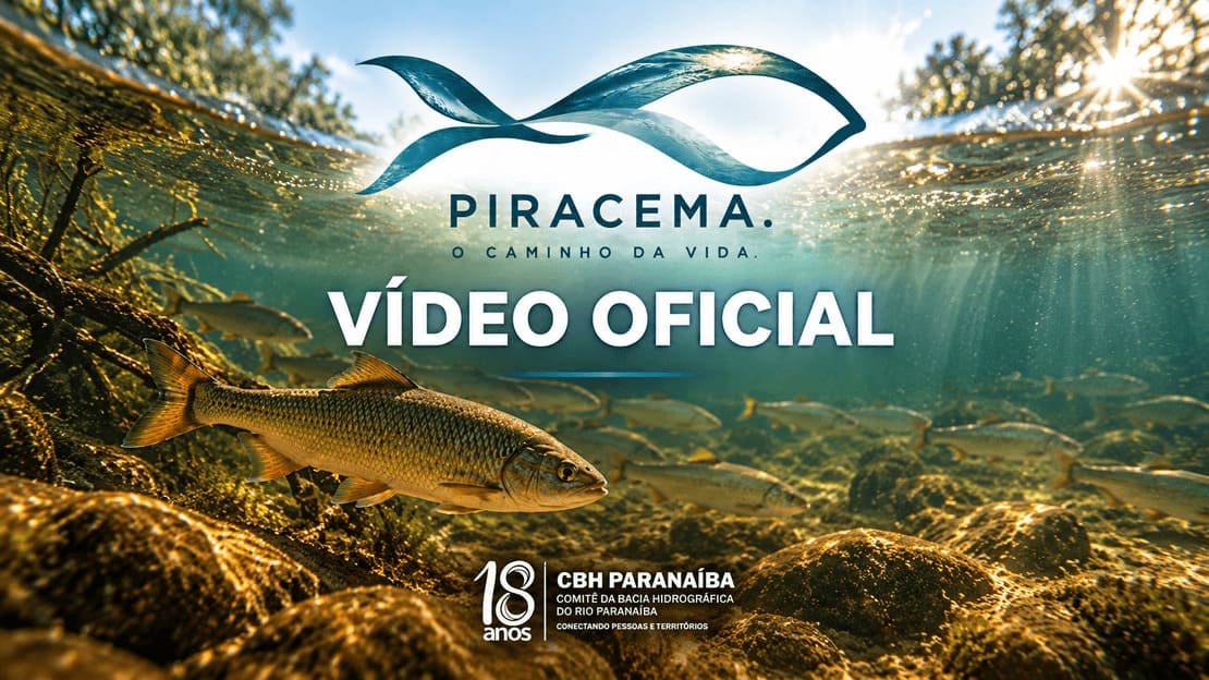 Video sobre a piracema